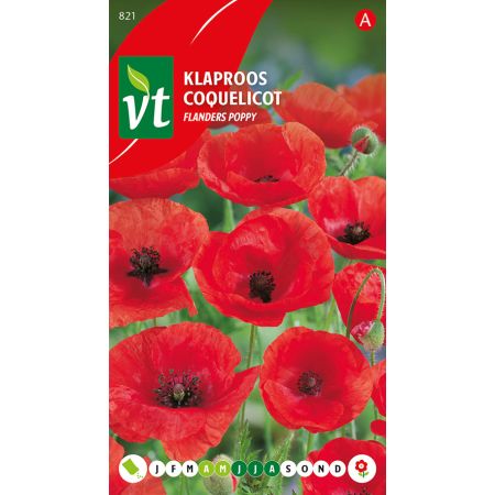 Papaver Rode Klaproos