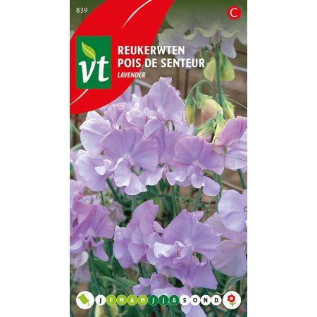 Reukerwten Lavender