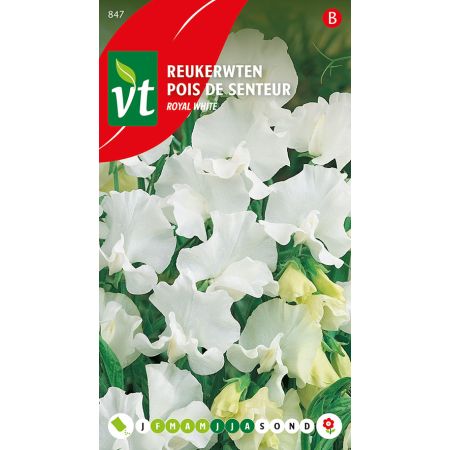 Reukerwten Royal White