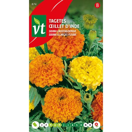 Tagetes Sierra Oranje-Geel