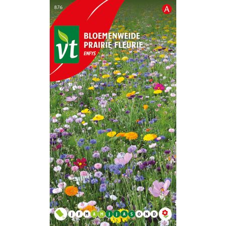 Bloemenweide Enfys