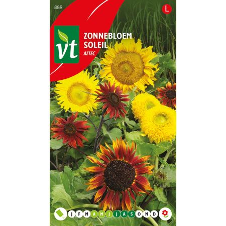 Zonnebloem Aztec