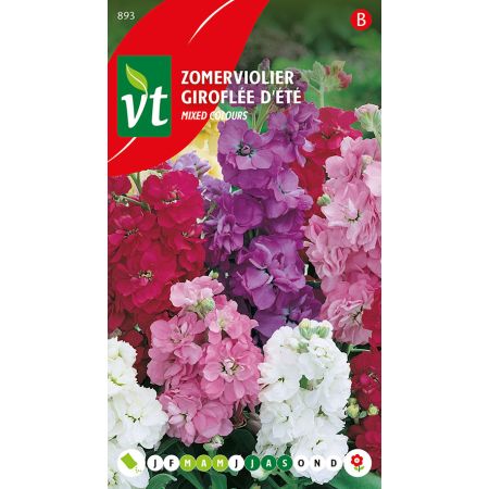 Zomerviolier Gemengd