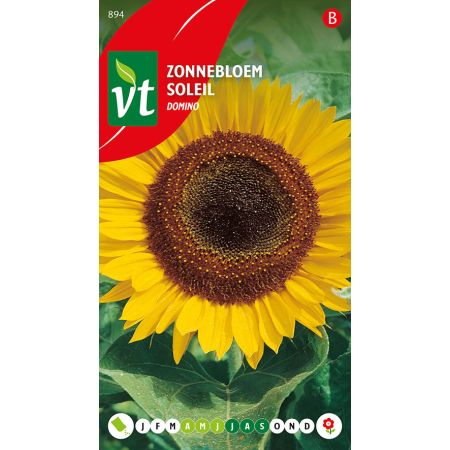 Zonnebloem Domino