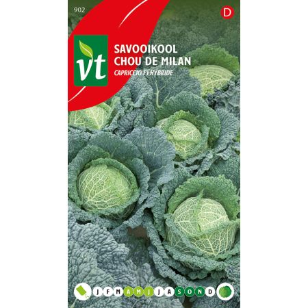 Savooikool Capriccio F1 hybride