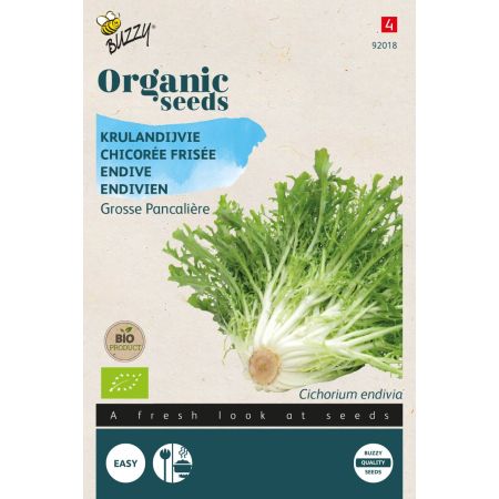 Buzzy Organic Endivien Grosse Pancalière (BIO) - Buzzy Organic Krulandijvie Grosse Pancalière  (BIO)