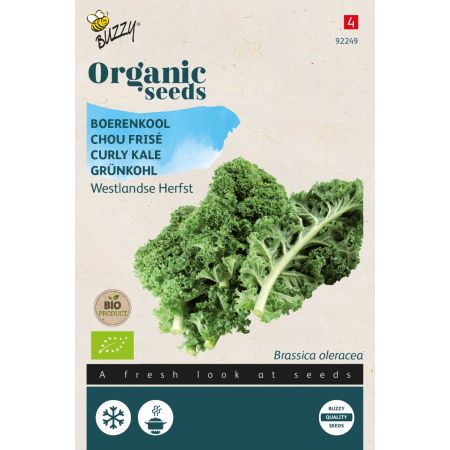 Buzzy Organic Grünkohl Westländer Herfst (BIO) - Buzzy Organic Boerenkool Westlandse Herfst (BIO)