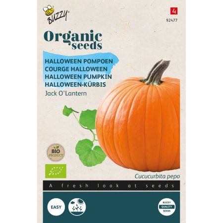 Buzzy Organic Halloween-Kürbis Jack O’lantern (BIO) - Buzzy Organic Pompoen Jack O'Lantern (BIO)