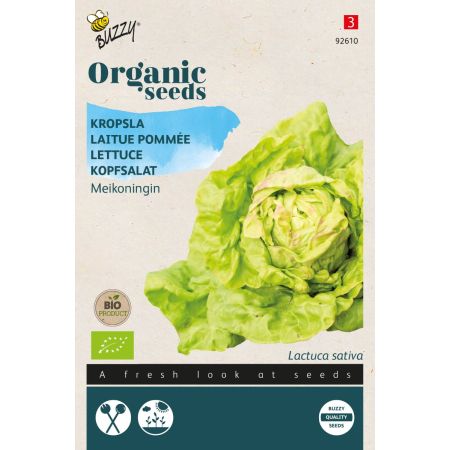 Buzzy Organic Kopfsalat Maikönig (BIO) - Buzzy Organic Kropsla Meikoningin  (BIO)