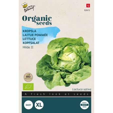 Buzzy Organic Kopfsalat Hilde II - Bio Samen