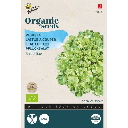 Buzzy Organic Pflücksalat Salad Bowl, grün (BIO) - Buzzy Organic Pluksla Salad Bowl, groen  (BIO)