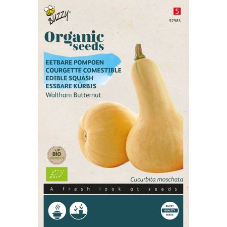Buzzy Organic Essbare Kürbis Waltham Butternut (BIO) - Buzzy Organic Eetbare Pompoen Waltham Butternut  (BIO)