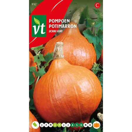 Pompoen Uchiki Kuri
