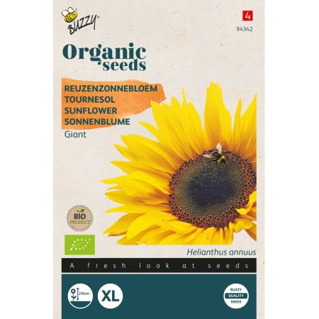 Buzzy Organic Sonnenblume Riesen (BIO) - Buzzy Organic Helianthus, Reuzenzonnebloem giganteus  (BIO)