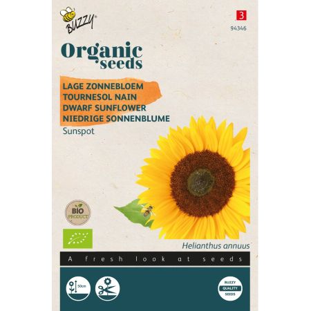 Buzzy Organic Niedrige Sonnenblume Sunspot (BIO) - Buzzy Organic Helianthus, Lage zonnebloem Sunspot (BIO)