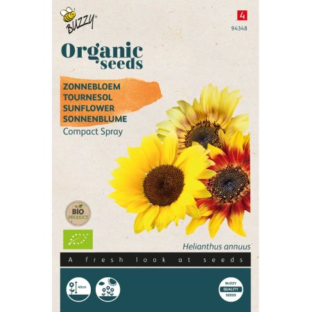 Buzzy Organic Sonnenblume, Compact Spray Mischung (BIO) - Buzzy Organic Helianthus, Zonnebloem Compact Spray(BIO)