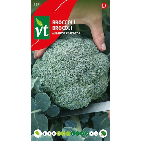 Broccolli Marathon F1 hybride