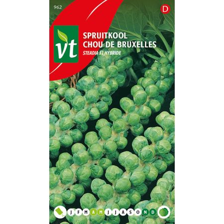 Spruitkool Steadia F1 Hybride