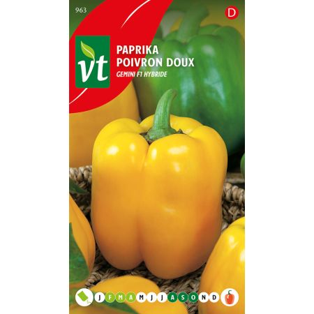 Paprika Goldenstar F1 Hybride