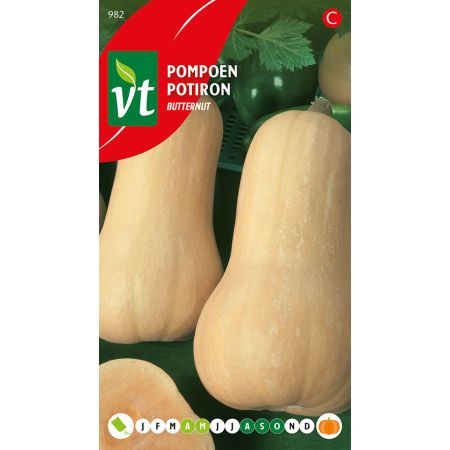 Kürbis Butternut - Pompoen Butternut
