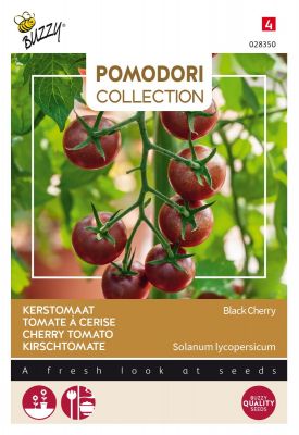 Buzzy Pomodori, Kirschtomate Black Cherry