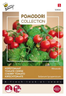 Buzzy Pomodori, Tomate Micro Tom F1