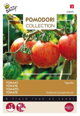 Buzzy Pomodori, Tomate Tigerella