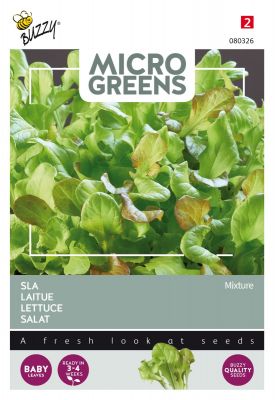 Buzzy Microgreens, Salat Mischung