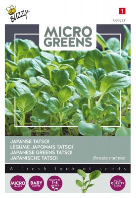 Buzzy Microgreens, Japanischer Tatsoi