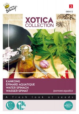 Buzzy Xotica Kankong,  Wasser Spinat