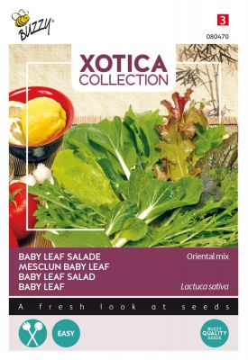 Buzzy Xotica Baby Leaf Salat, Oriental Mischung