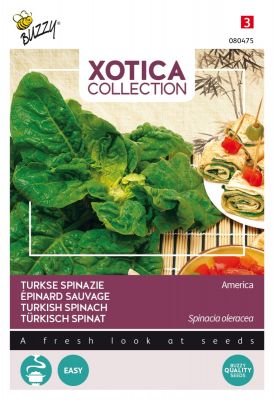 Buzzy Xotica Türkisch Spinat