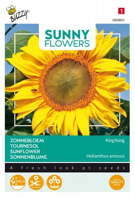 Buzzy Sunny Flowers, Sonnenblume King Kong