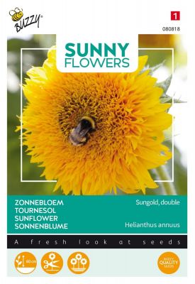 Buzzy Sunny Flowers, Niedrige Sonnenblume Sungold gefullte