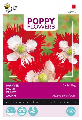 Buzzy Poppy Flowers Mohnblume