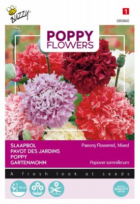 Buzzy Poppy Flowers Mohn Paeoniflorum Gef. Misch.