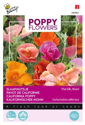 Buzzy Poppy Flowers, Kalifornischer Mohn Thai Silk