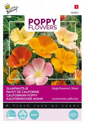 Buzzy Poppy Flowers Kalifornischer Mohn