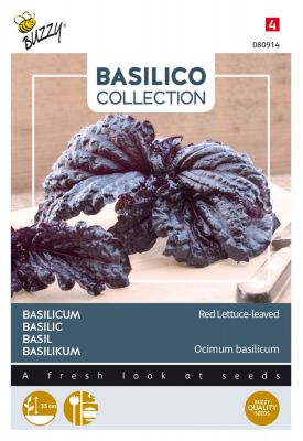 Buzzy Basilikum Red Lettuce-leaved