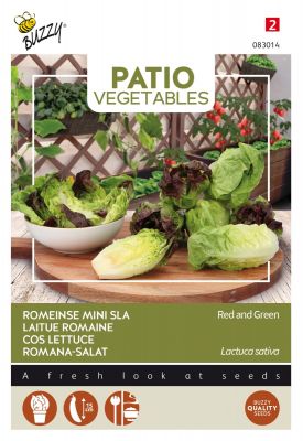 Buzzy Patio Veggies, Romana-Salat Rot und Grün