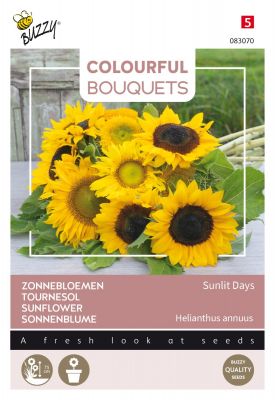 Buzzy Colourful Bouquets, Sunlit Days, Sonneblume