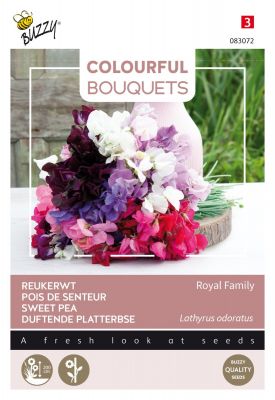 Buzzy Colourful Bouquets, Royal Family (lathyrus)