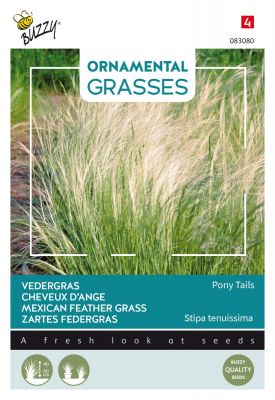 Buzzy Ornamental Grasses, Zartes Federgras 'Pony Tails'