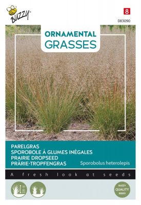 Buzzy Ornamental Grasses, Prärie-Tropfengras