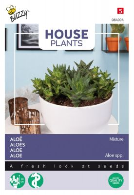 Buzzy House Plants Aloe Mischung