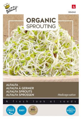Buzzy Organic Sprouting Alfalfa Luzerne (BIO)