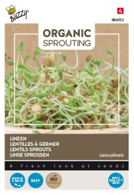 Buzzy Organic Sprouting Linse (BIO)