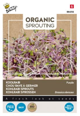 Buzzy Organic Sprouting Kohlrabi blaue (BIO)