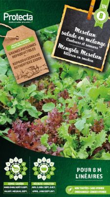 Mesclun gemischter Salat – Protecta Samen bäuerl