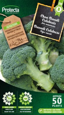 Kalabresischer Brokkoli-Kohl – Protecta Samen bäuerl